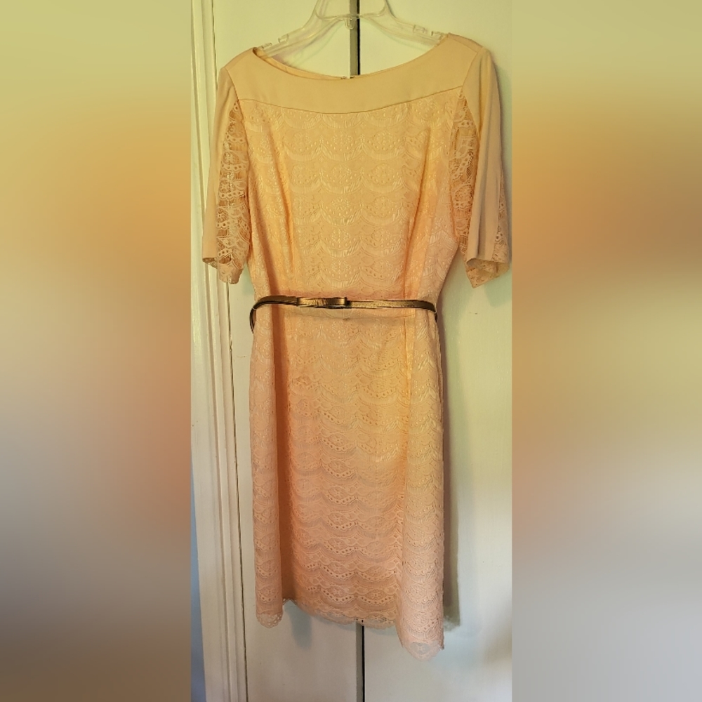 Pink Lace Dress